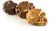 Shells Shells