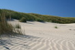 Dünenlandschaft