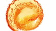 World of liquid (beer 1) World of liquid (beer 1)