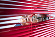 red blinds