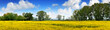 Rapen yellow field and deep blue sky Rapen yellow field and deep blue sky