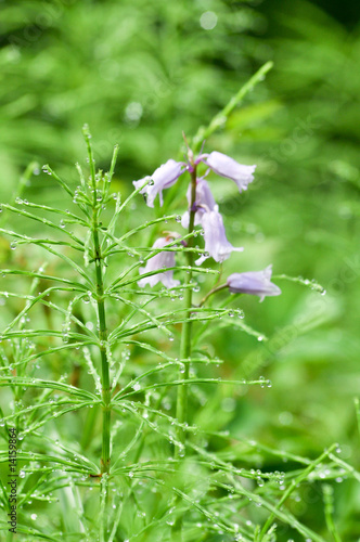 Photo: Wassertropfen Wassertropfen