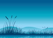 Marshland early morning.