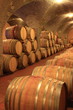 Weinkeller,Rotwein im Barrique-Faß ausgebaut,Toskana,Italien