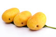 Three mangos on leaf