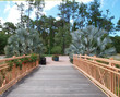 Foot bridge / walkway