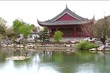 Botanical garden.