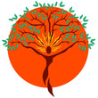 Arbre Réflexologie