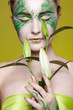beautiful elven girl beautiful elven girl