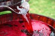 Making wine