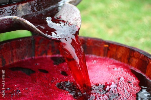 Photo: Making wine Making wine