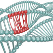 Cancer Cause Hiding in DNA Strand Cancer Cause Hiding in DNA Strand