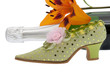 eleganter Damenschuh mit Champagner