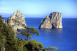 Quadro Capri, i Faraglioni Quadro Capri, i Faraglioni