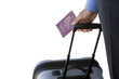 Businessman with luggage and passport, cut out