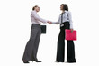 Two businesswomen shaking hands, cut out