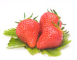 Erdbeeren