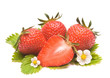 Erdbeeren Erdbeeren