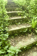 stairway to heaven