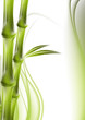 bamboo and abstract background green curves bamboo and abstract background green curves
