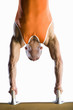 Male gymnast performing handstand on pommel horse, close-up, cut out