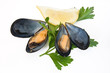 two mussels with lemon and parsley two mussels with lemon and parsley