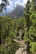 Foto: La Palma Caldera de Taburiente La Palma Caldera de Taburiente