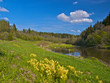 Rural landscape