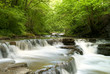 Fluss im Wald (Schlichemklamm)