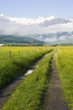 Feldweg - Österreich Feldweg - Österreich