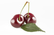 Ciliege macro 5