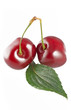 Ciliege macro 6