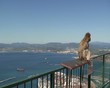 Barbary Ape sitting high up on railing in Gibraltar Barbary Ape sitting high up on railing in Gibraltar