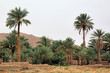 MARRUECOS-OUJDA-
