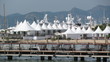 festival de cannes festival de cannes