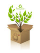 Ecology tree