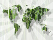 Bambù world