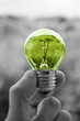 holding light bulb