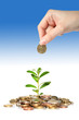 Money and plant. Money and plant.