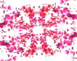 Kaleidoscope. Flying petals.