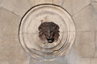 Fontaine à tête de lion #1