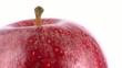 POMME ROUGE - PACKSHOT