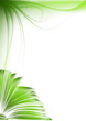big open green book. sketch style illustration big open green book. sketch style illustration