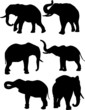 Elephant silhouettes