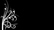 Floral animation3 B&W Floral animation3 B&W