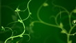 Floral background animation with Alpha channel Floral background animation with Alpha channel