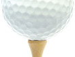 Golf balll