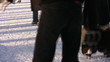 Riding legs in skates on ice
