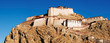 Tibetan buddhist monastery