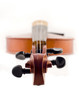Beautiful violin top view